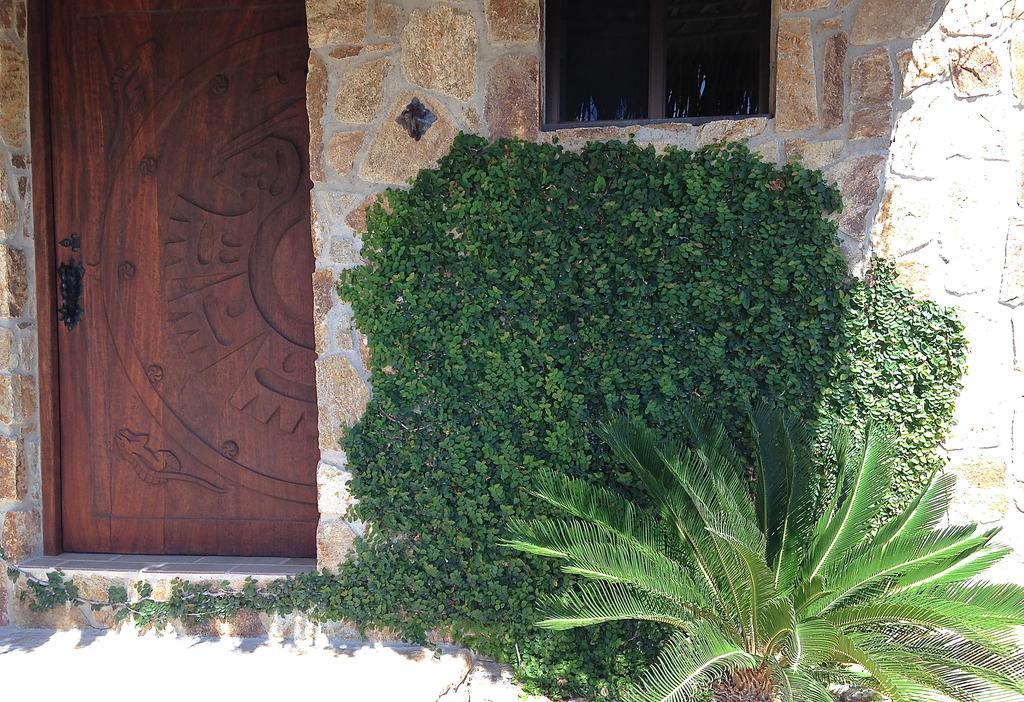 فيلا Palapas La Choya La Ventana المظهر الخارجي الصورة